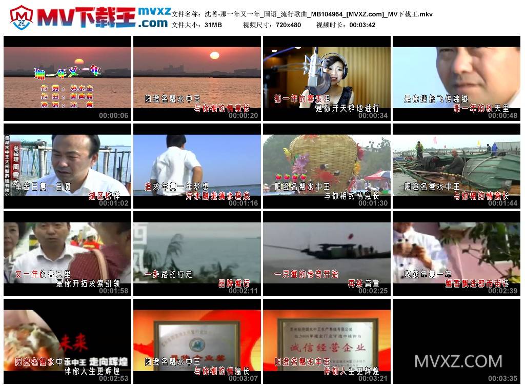 沈菁-那一年又一年_国语_流行歌曲_MB104964